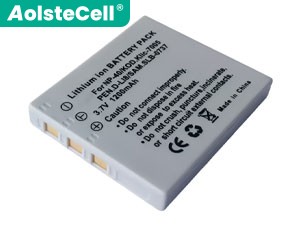 Minolta DIMAGE X1 baterija