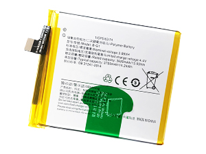 Vivo B-G1 baterija